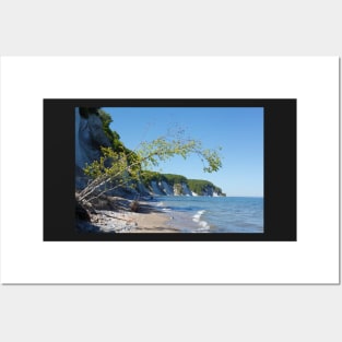 Chalk coast, chalk cliffs, Ruegen Island, Mecklenburg-Western Pomerania, Germany Posters and Art